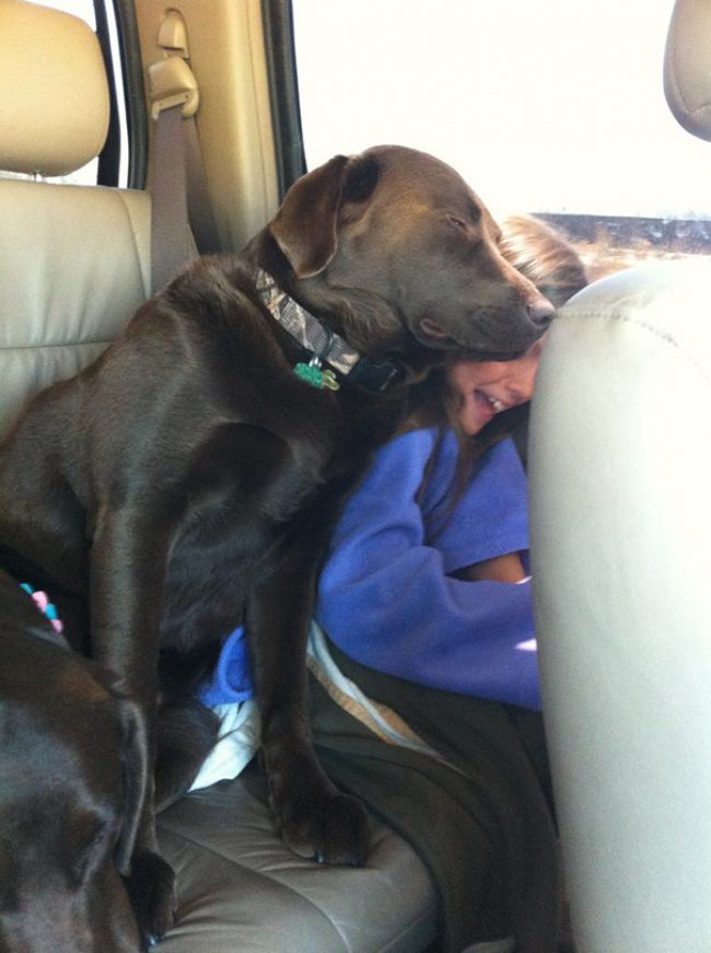 dogs clueless of personal space 10