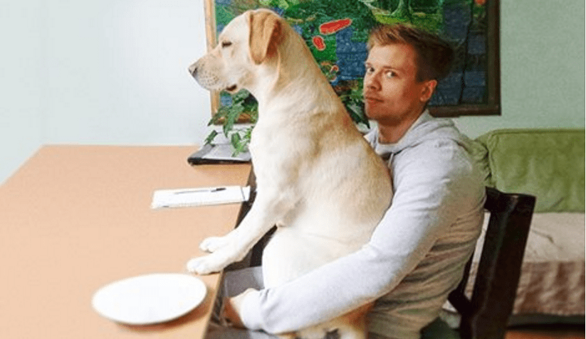 15 Hilarious Dogs Who Simply Don’t Care About Personal Space
