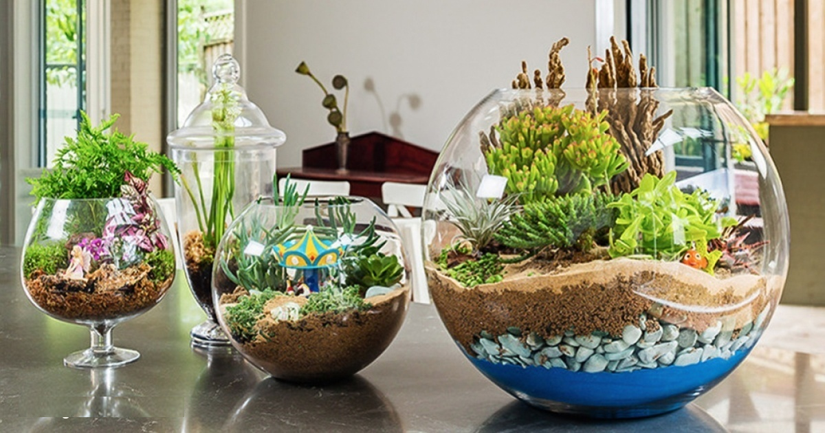 How To Make A Magical Miniature Terrarium Garden