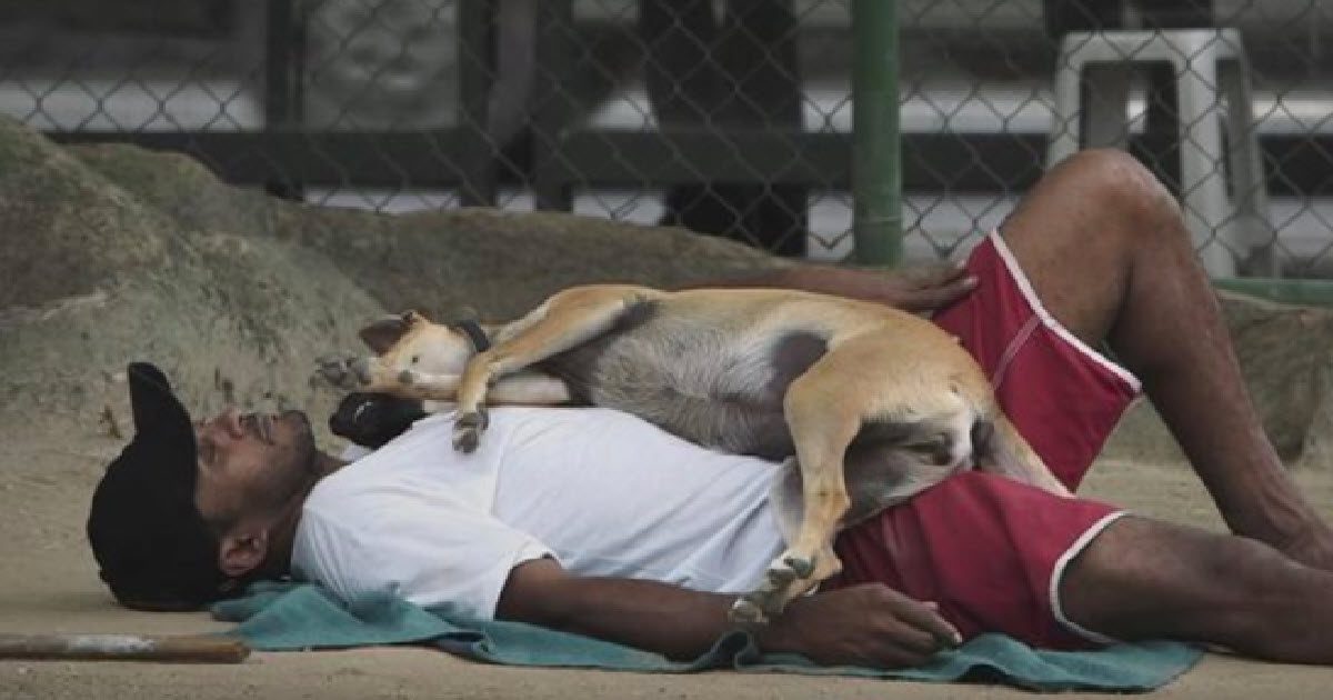 Innovative Pet Shelter Only Hires Homeless People To Care For Their Animals