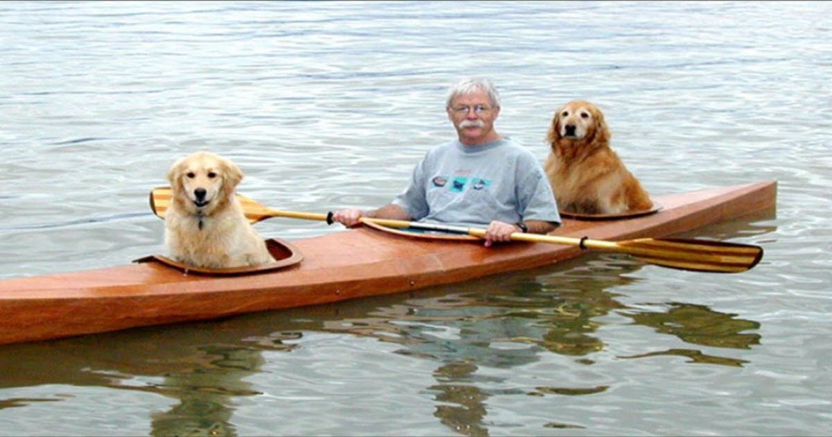 Man Builds Special Kayak So That He Can Take His Two Dogs On Adventures