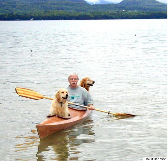 kayak for dogs