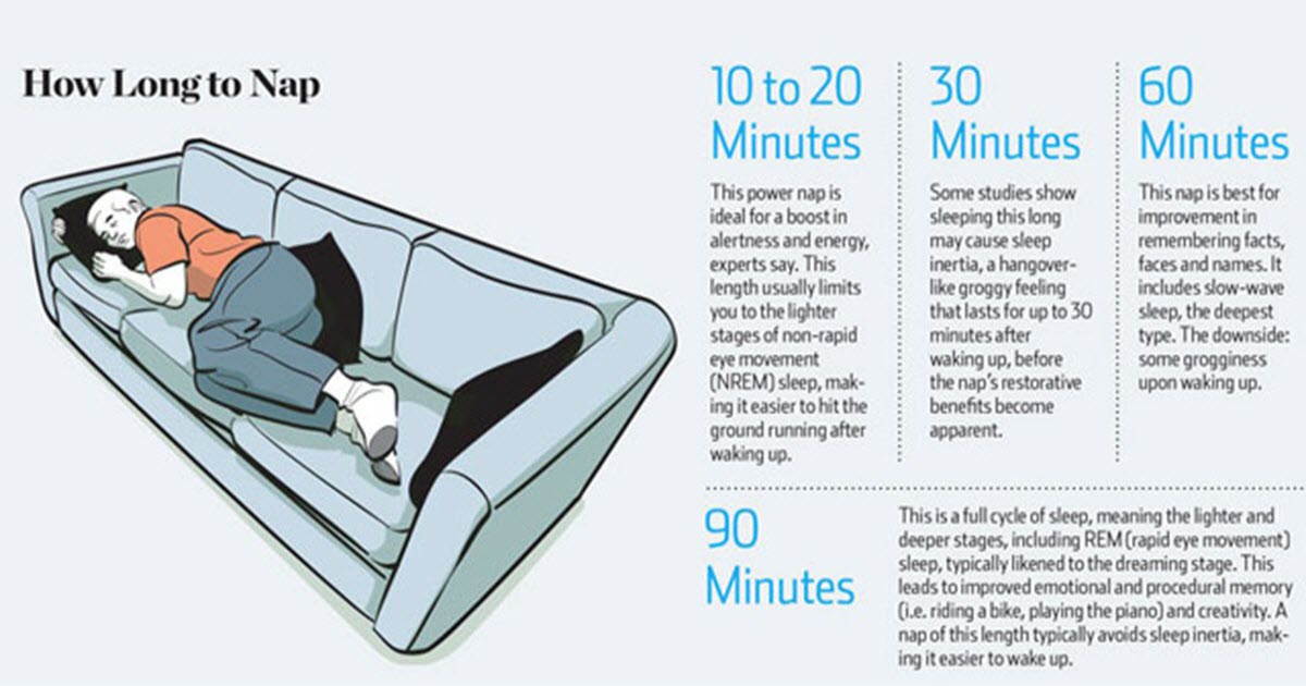 Napping Can Dramatically Improve Learning, Memory, Awareness And Much More