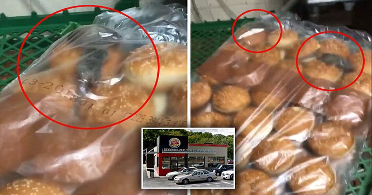 Burger King Branch Shuts After Video Of Rats Running In Bags Of Buns