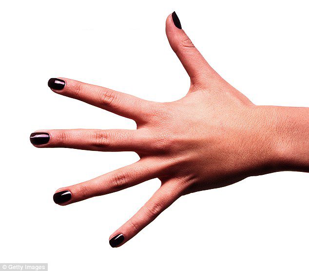finger length sexuality