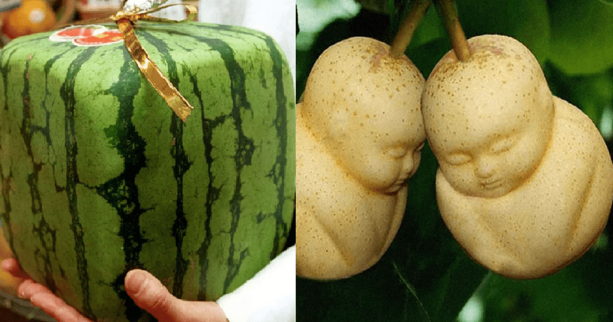 World’s Most Expensive Fruits You Did Not Know Existed