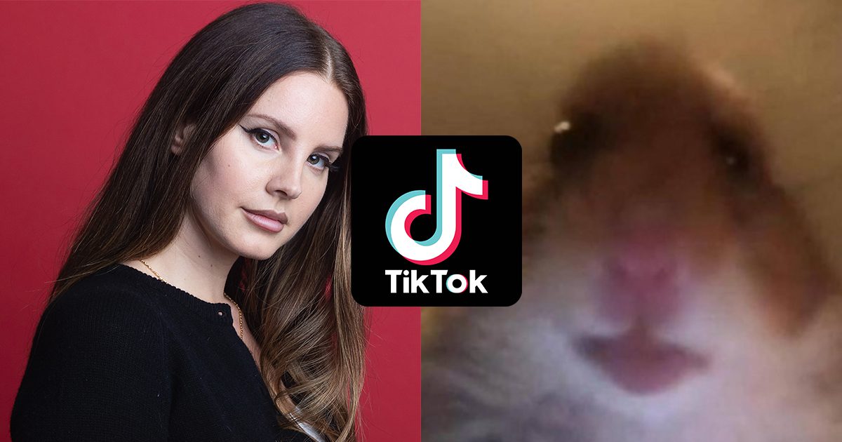 A War Between The Lana Del Rey Cult And Hamster Cult Is On Fire On TikTok