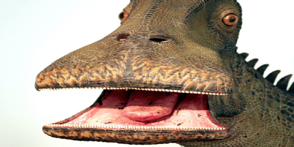 What Dinosaur Has 500 Teeth? A Most Searched Trend