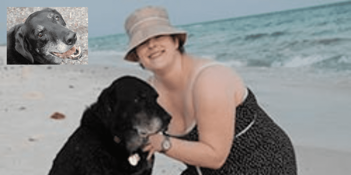 Depressed Woman Rescues Dog Then Saved Her